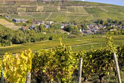 Chavignol_1124D.jpg