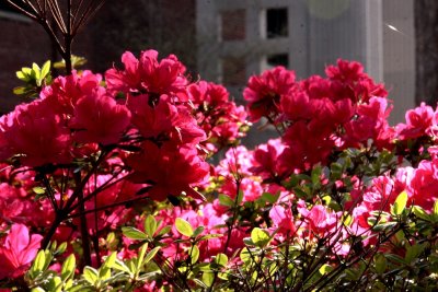 IMG_3150.JPG
