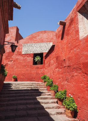P9081638 Santa Catalina.jpg