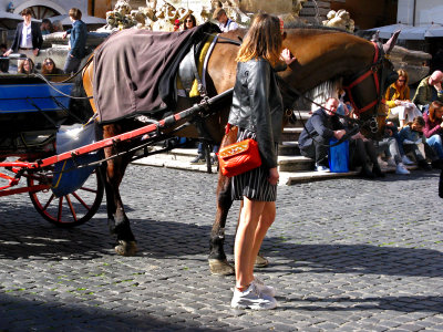Horse loving on the piazza della Rotunda .. 8867