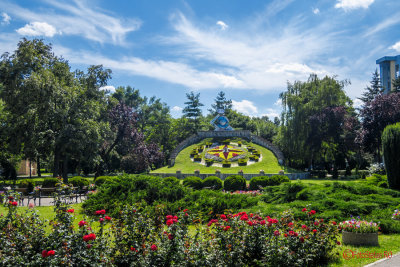 timisoara-ceas-flori.jpg