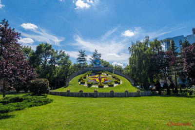 timisoara-ceas-flori_03.jpg