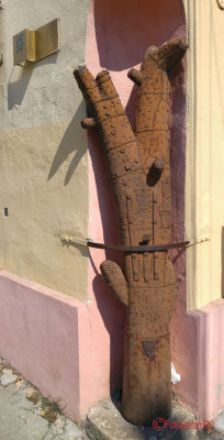 timisoara-copacul-breslelor.jpg