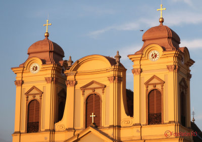 timisoara-dom-catolic-drona.JPG