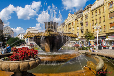 timisoara-fantana-pesti.jpg