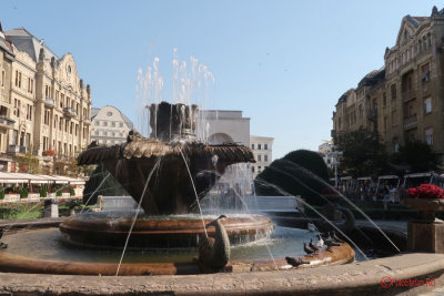 timisoara-fantana-pesti_03.JPG