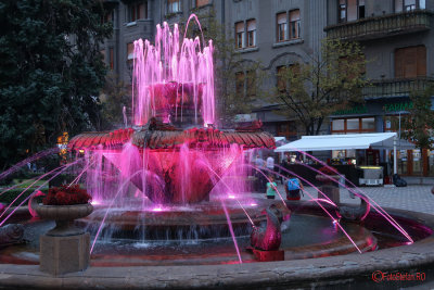 timisoara-fantana-pesti_06.JPG