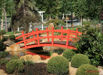 timisoara-gradina-japoneza.JPG