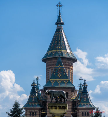 timisoara-lupoaica.jpg