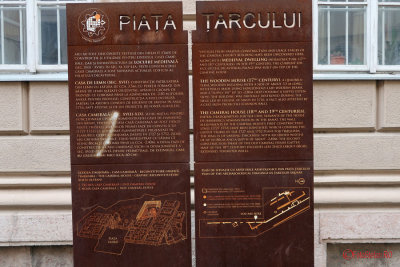 timisoara-panou-pita-tarcului.JPG