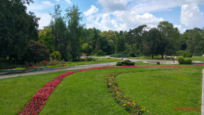 timisoara-parc-botanic_02.jpg