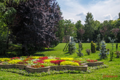 timisoara-parc-botanic_04.jpg