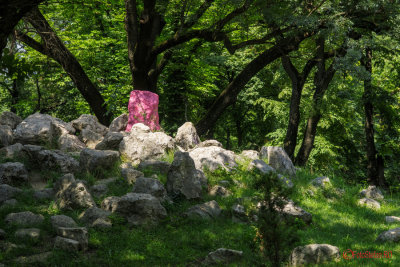 timisoara-parc-botanic_07.jpg