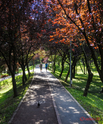 timisoara-pista-biciclisti_07.jpg