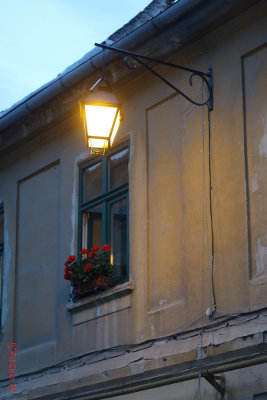 timisoara-seara.JPG