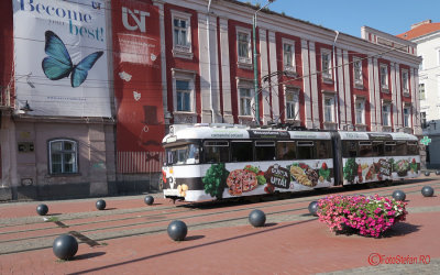 timisoara-tramvaie-stpt.JPG