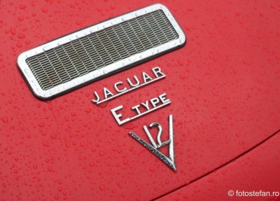 jaguaretypev12.JPG