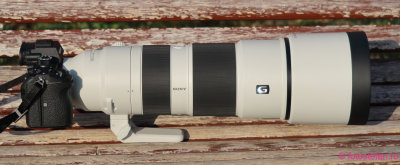 sony-200-600mm-sony-a9_05.JPG