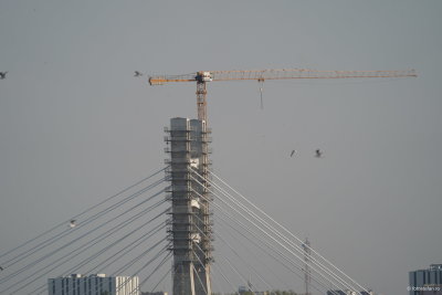 g12/31/798231/3/169733881.0j51e2hZ.jpg