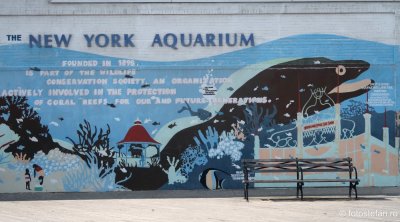 coney-island-new-york-aquarium.JPG