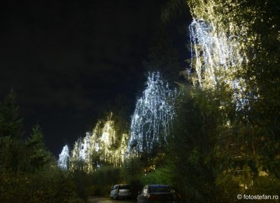 luminite-craciun-bucuresti-2019_08.JPG