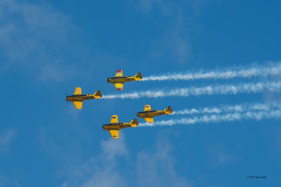 Harvards