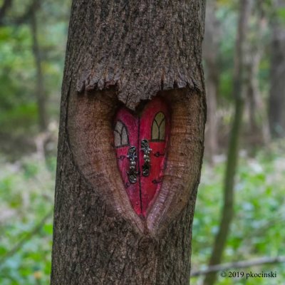 Fairy House In The Woods
