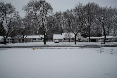 First Real Snow