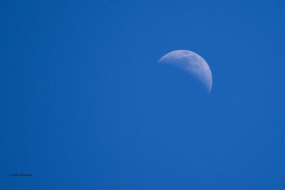 Waxing Crescent Moon ~ 36% Illuminated