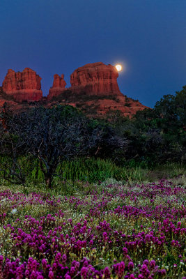 Moon rise over owl clover_6298.jpg