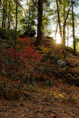 Cave_springs_9140.jpg
