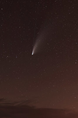 Neowise 4289.jpg