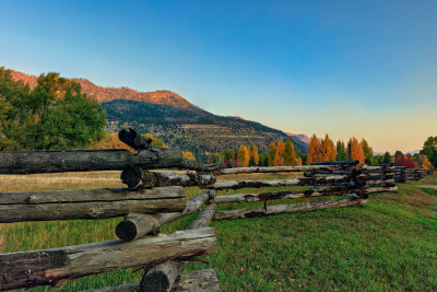 fence line 5717.jpg
