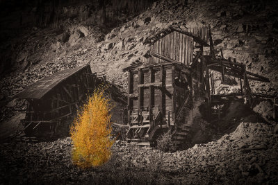 Mine 5610.jpg
