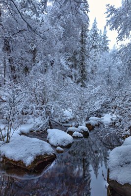 Oak Creek Snow 6106.jpg