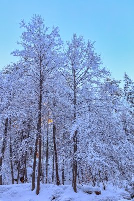Oak Creek snow 6379.jpg