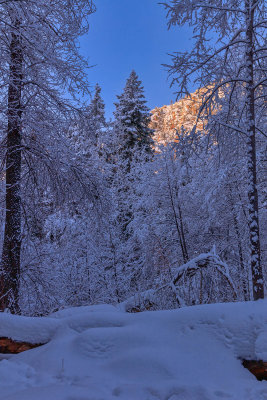 Oak Creek Snow 6390.jpg