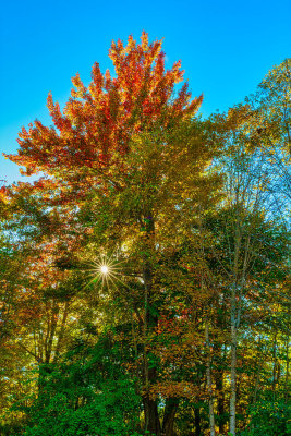 Vermont star burst 1866.jpg