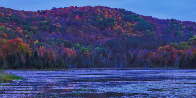 Vermont Bliss Pond 2407.jpg