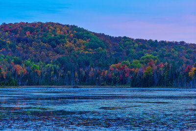 Vermont Bliss Pond 2440.jpg