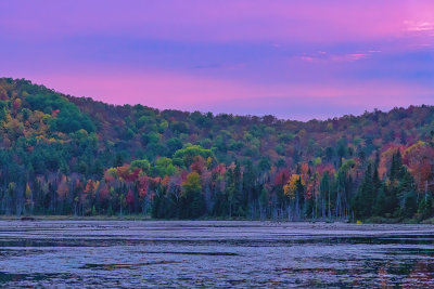 Vermont Bliss Pond 2449.jpg