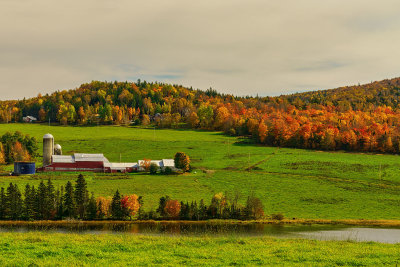 vermont farm 2961.jpg