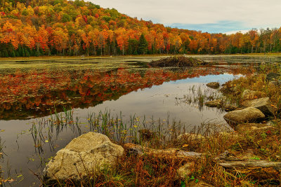 Vermont turtle lake 2942.jpg