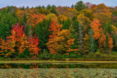 Vermont color 2263.jpg