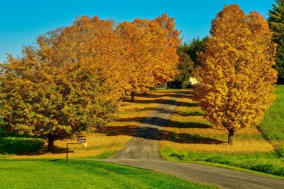 Vermont road 3085.jpg