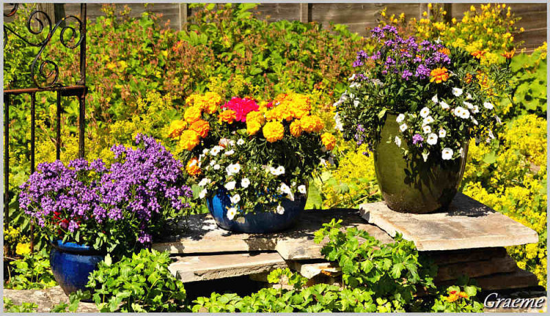 Garden Flowers & Greenery