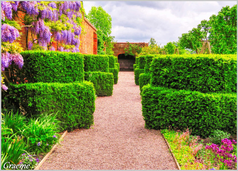 Wisteria & topiary's