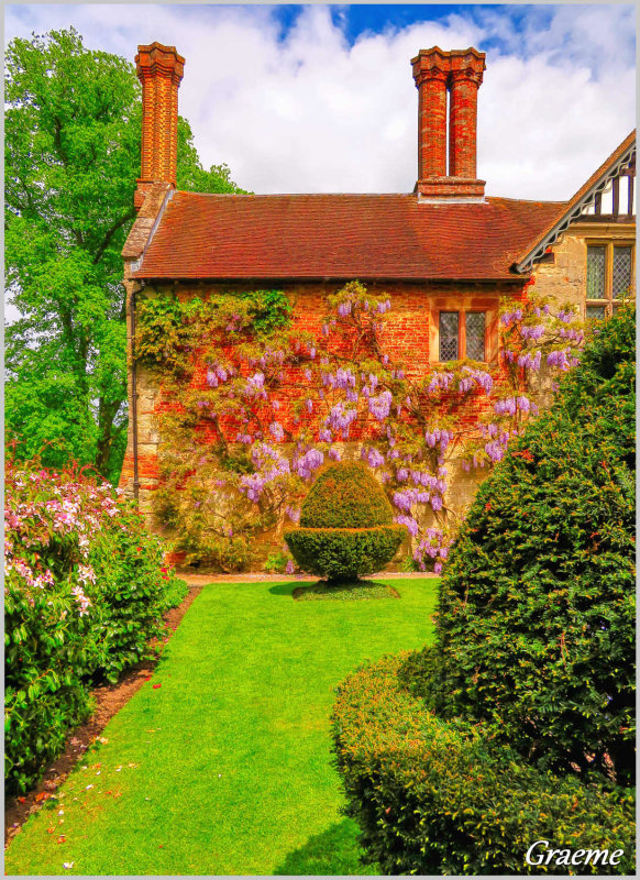 Topiary Trees 
