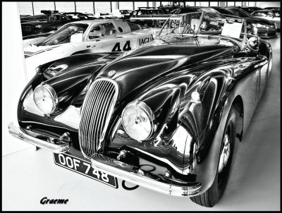 Featured Gallery