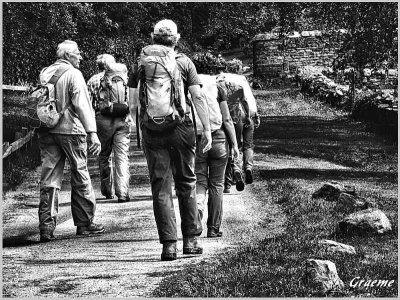 'bag packers on a trail'
